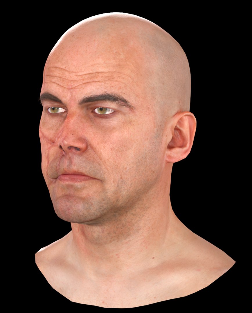 Head nerva 3D model - TurboSquid 1444527