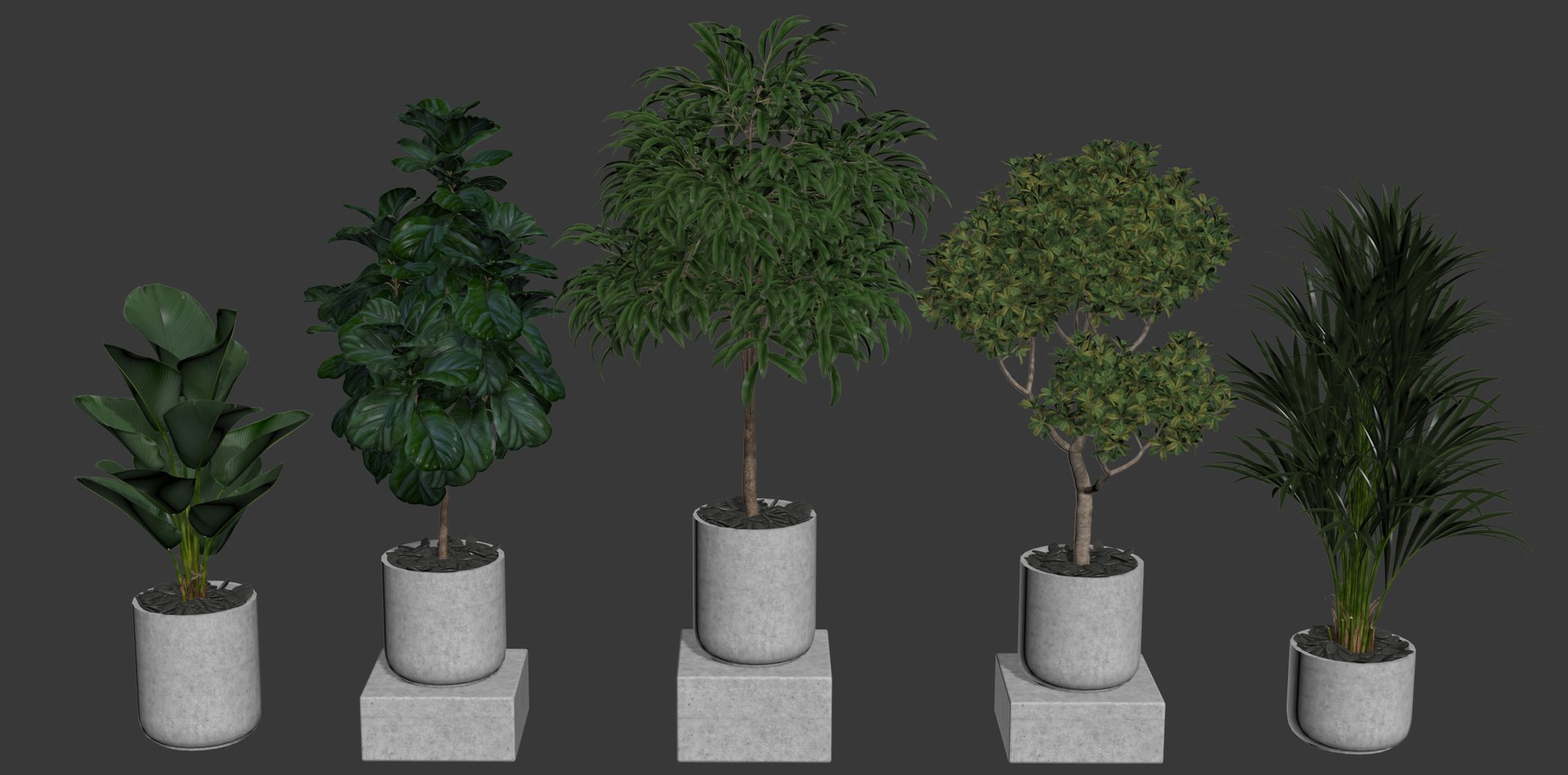 3D plants model https://p.turbosquid.com/ts-thumb/uc/TyqKJP/Cv/w/jpg/1615017596/1920x1080/fit_q87/87dfe1aa9550320a00673b2823326e6a640e6319/w.jpg