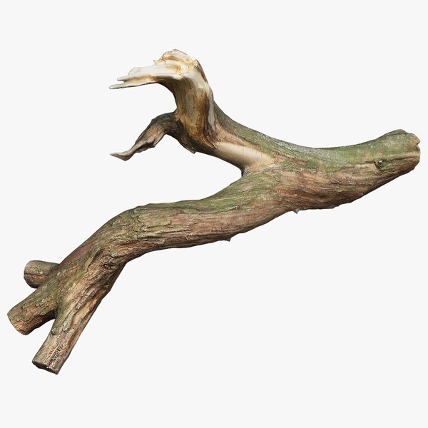 3D Branch 01 model