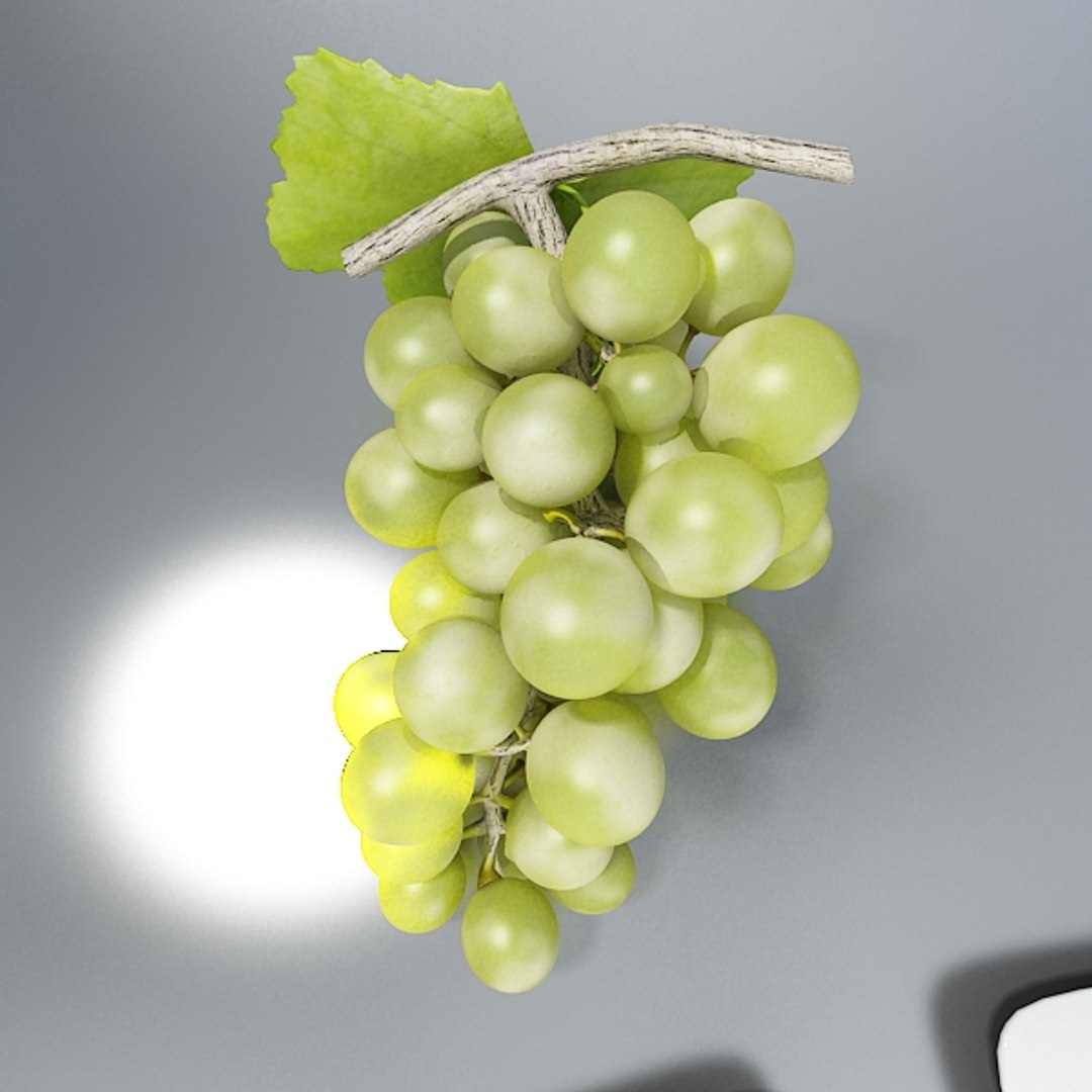 3d grapes model https://p.turbosquid.com/ts-thumb/uc/ViX0JM/aNAnWO6y/greengrapespreview05/jpg/1313120751/1920x1080/fit_q87/ee810331f508f6c59ad1c3891a0635c763dd411f/greengrapespreview05.jpg