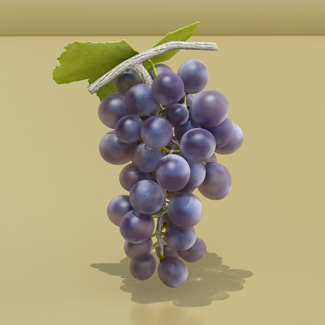 3d grapes model https://p.turbosquid.com/ts-thumb/uc/ViX0JM/e3haN2VP/blackgrapespreview05/jpg/1313120707/1920x1080/fit_q87/4a19a0058e269abb3c7a2ec8f829505f37e0c5c0/blackgrapespreview05.jpg