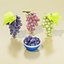 Grapes collection.