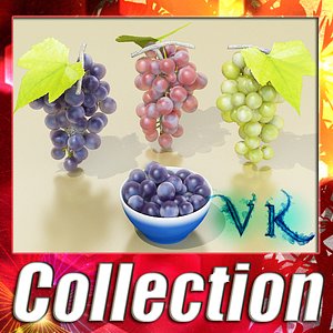 3d grapes model