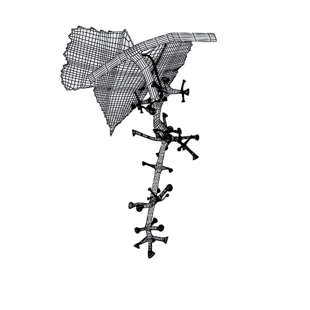 3d grapes model https://p.turbosquid.com/ts-thumb/uc/ViX0JM/rSFlwgiW/greengrapespreviewwire3/jpg/1313120772/1920x1080/fit_q87/2324728319f42eaf90169c28eb0d1a20f1c551c2/greengrapespreviewwire3.jpg