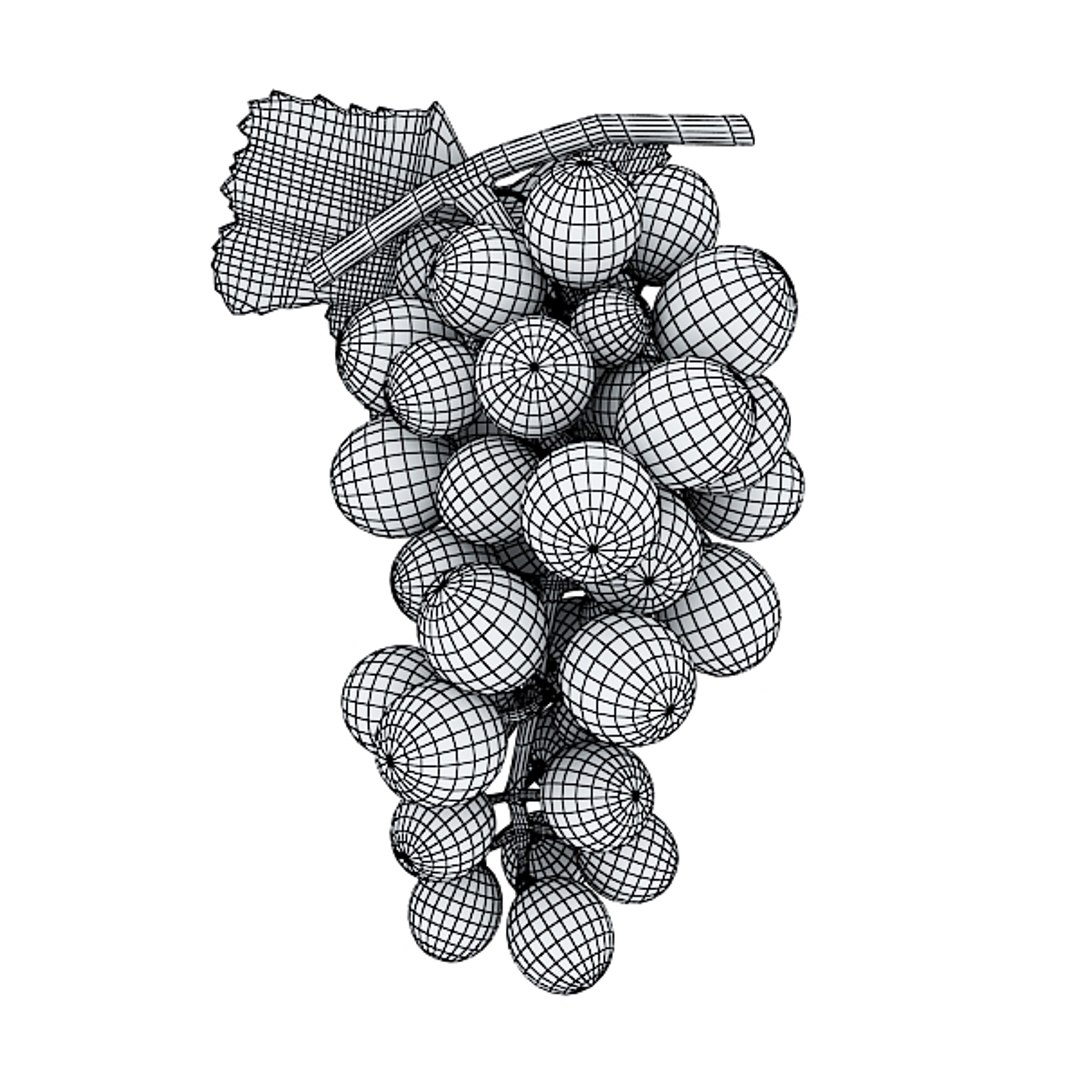 3d grapes model https://p.turbosquid.com/ts-thumb/uc/ViX0JM/se93bSmT/greengrapespreviewwire02/jpg/1313120772/1920x1080/fit_q87/fc22c90b34e670733d016f4062076d9caaef9e26/greengrapespreviewwire02.jpg