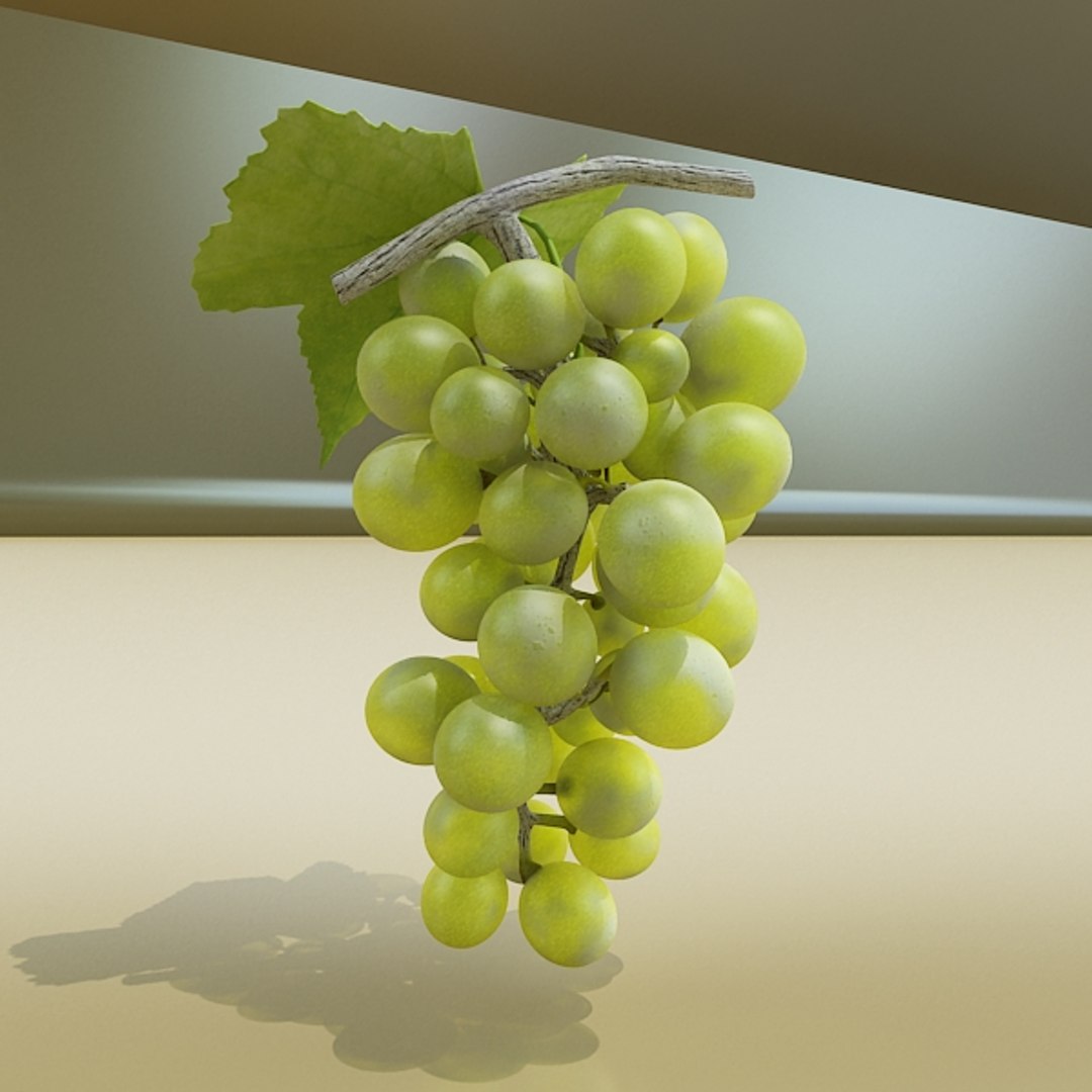 3d grapes model https://p.turbosquid.com/ts-thumb/uc/ViX0JM/zP2fl06N/greengrapespreview07/jpg/1313120751/1920x1080/fit_q87/c157cc70a178e9d9262cd65e32ea3b6a55468f66/greengrapespreview07.jpg