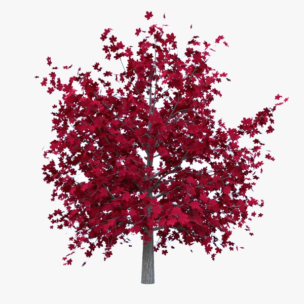 3D model red maple leaf