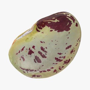 Heirloom Bean - 3D Scanned 3D model