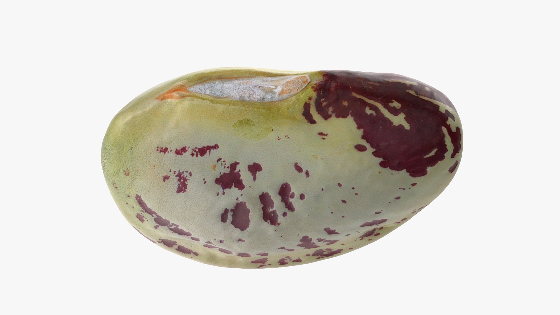 Heirloom Bean - 3D Scanned 3D model https://p.turbosquid.com/ts-thumb/uc/hlTMBt/M0/heirloombean_0010/png/1769597510/1920x1080/fit_q87/72b0daa2b5258adb045bd85344e6fd3dbd685ef6/heirloombean_0010.jpg