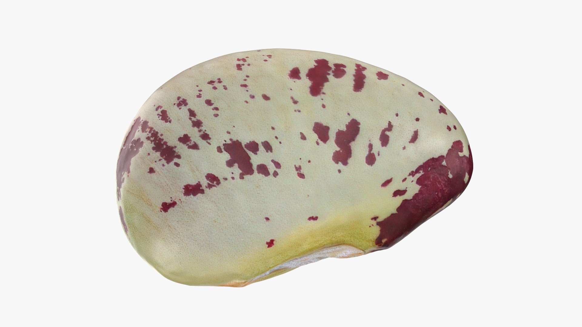 Beans - 3D Scanned Collection 3D model https://p.turbosquid.com/ts-thumb/uc/hlTMBt/PF/heirloombean_0001/png/1787360875/1920x1080/fit_q87/809e82911a1de3ad61e717a87ec149448a042cb0/heirloombean_0001.jpg