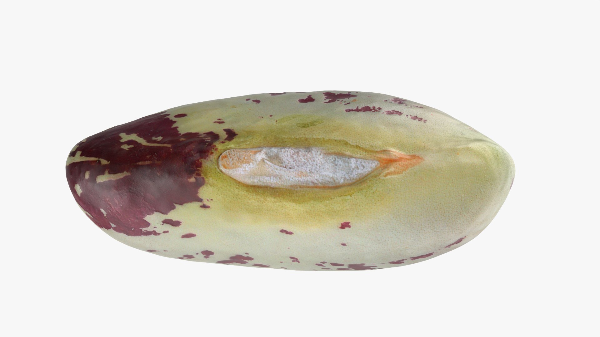 Heirloom Bean - 3D Scanned 3D model https://p.turbosquid.com/ts-thumb/uc/hlTMBt/Pl/heirloombean_0008/png/1769597504/1920x1080/fit_q87/38c41d236edf473fb29e810d214d5afbc3b6559f/heirloombean_0008.jpg