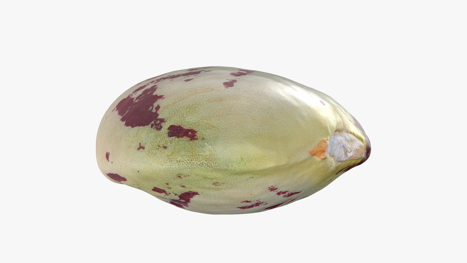 Heirloom Bean - 3D Scanned 3D model https://p.turbosquid.com/ts-thumb/uc/hlTMBt/R8/heirloombean_0009/png/1769597508/1920x1080/fit_q87/361072e02c17ed0421a65e7e1605d8681c2f01f6/heirloombean_0009.jpg