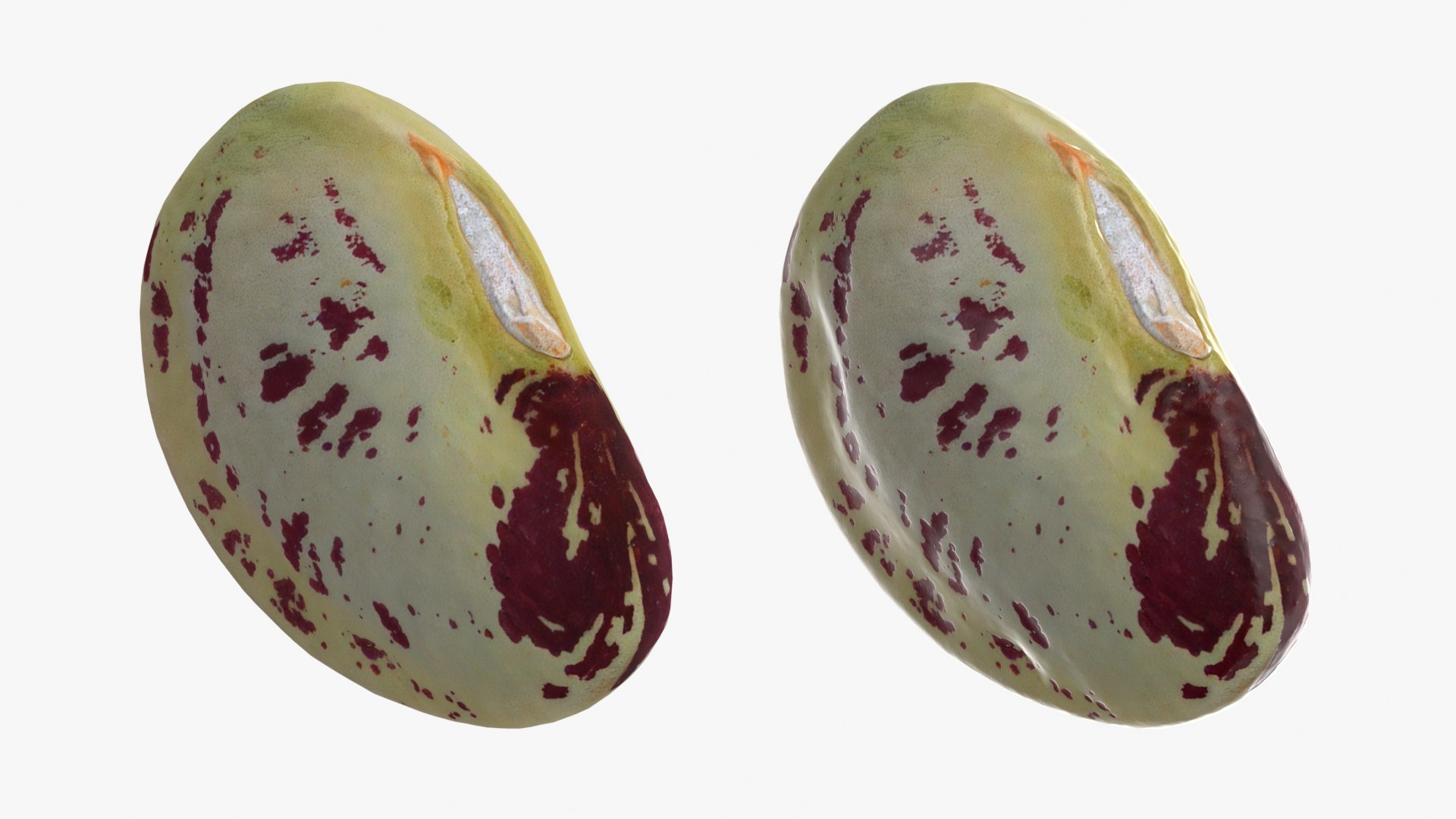 Heirloom Bean - 3D Scanned 3D model https://p.turbosquid.com/ts-thumb/uc/hlTMBt/k1/heirloombean_0001b/png/1769597492/1920x1080/fit_q87/b5284c177362202d1ca0d56afc76aa400374195c/heirloombean_0001b.jpg