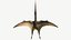 Pteranodon