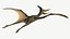 Pteranodon