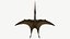 Pteranodon