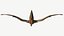 Pteranodon