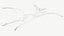 Pteranodon