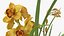 3D Orchid Pot Flower Yellow Fur