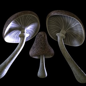 3d pilze mushrooms