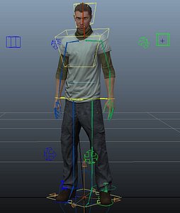 3d model of basic human rig ready
