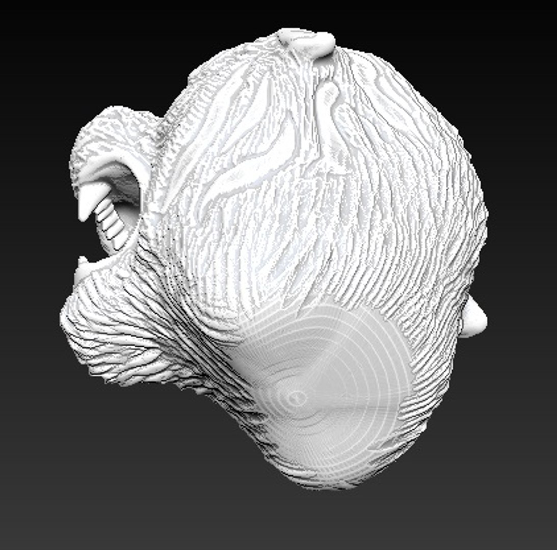 3d model cat head https://p.turbosquid.com/ts-thumb/ud/HCgEMa/FAwnmlrC/04/jpg/1460447594/1920x1080/fit_q87/4a332276718ad84495e007f5dd76e4c05933e6d5/04.jpg