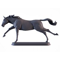 Horse Running