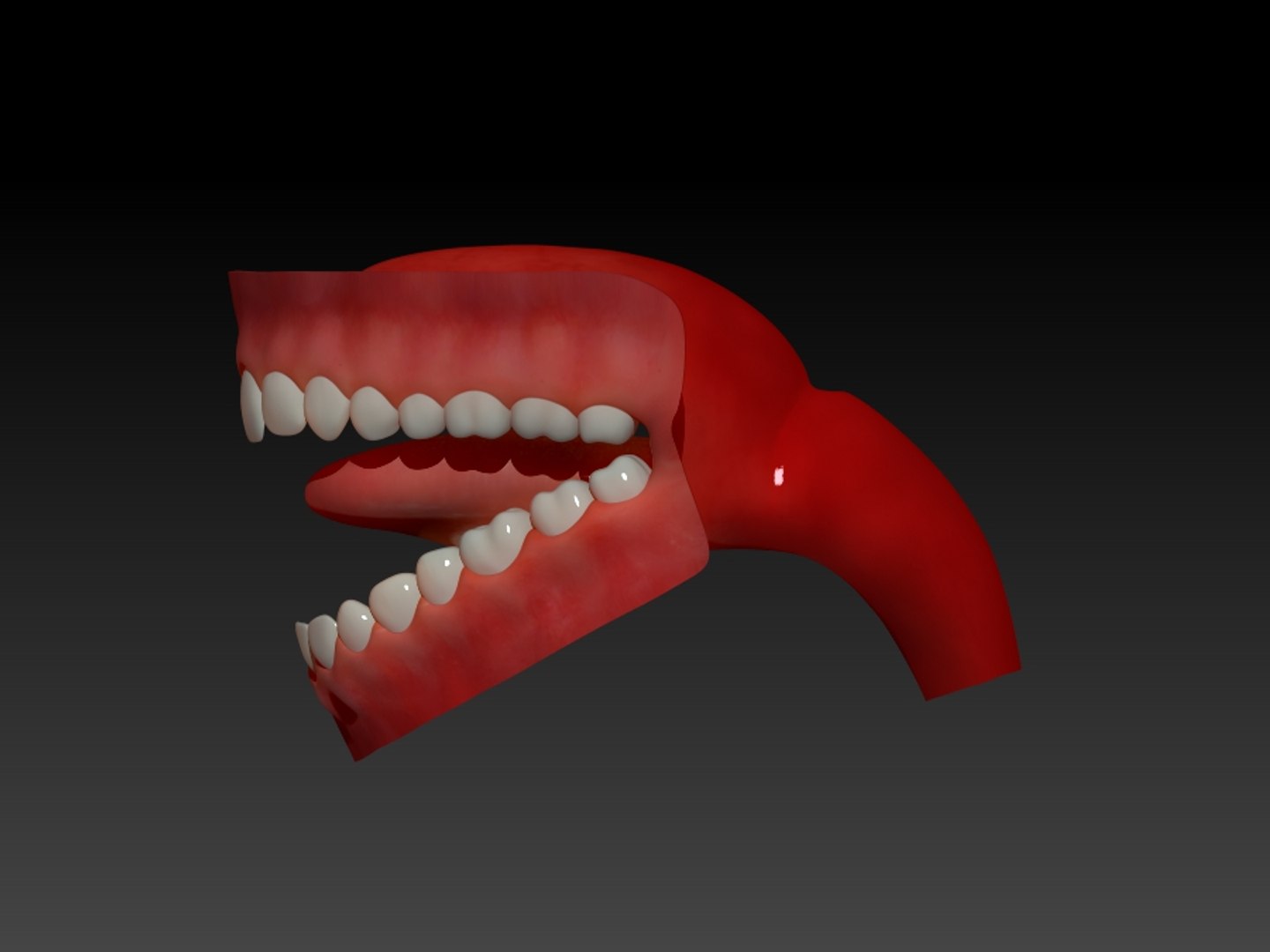 Obj Jaws