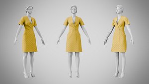 3D Dress 41 Golden Grass model