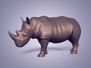3D model Animal