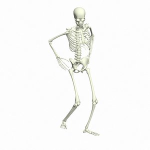 Skeleton Regged 3D Animation - Angry scenario 3D model