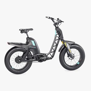 3D BOOSTER Easy - eBikes Black