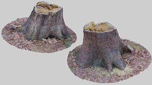 Chopped tree stump 3D model