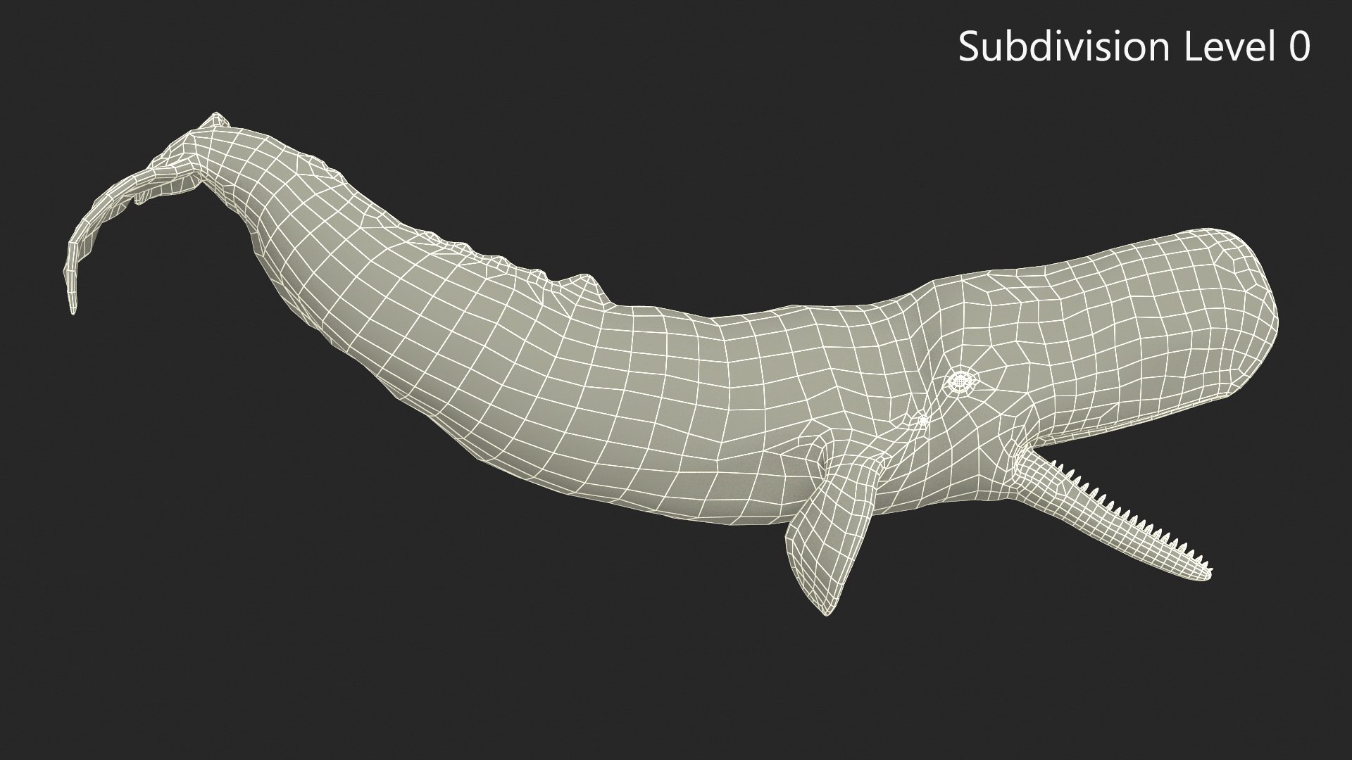 Cachalot Rigged 3D https://p.turbosquid.com/ts-thumb/ue/BjMvmN/7x/reproduction__cachalot_rigged_030/jpg/1703513453/1920x1080/fit_q87/2ae1e64f0f7d156ad4ab8a2db6ffc409ea6ab9f3/reproduction__cachalot_rigged_030.jpg