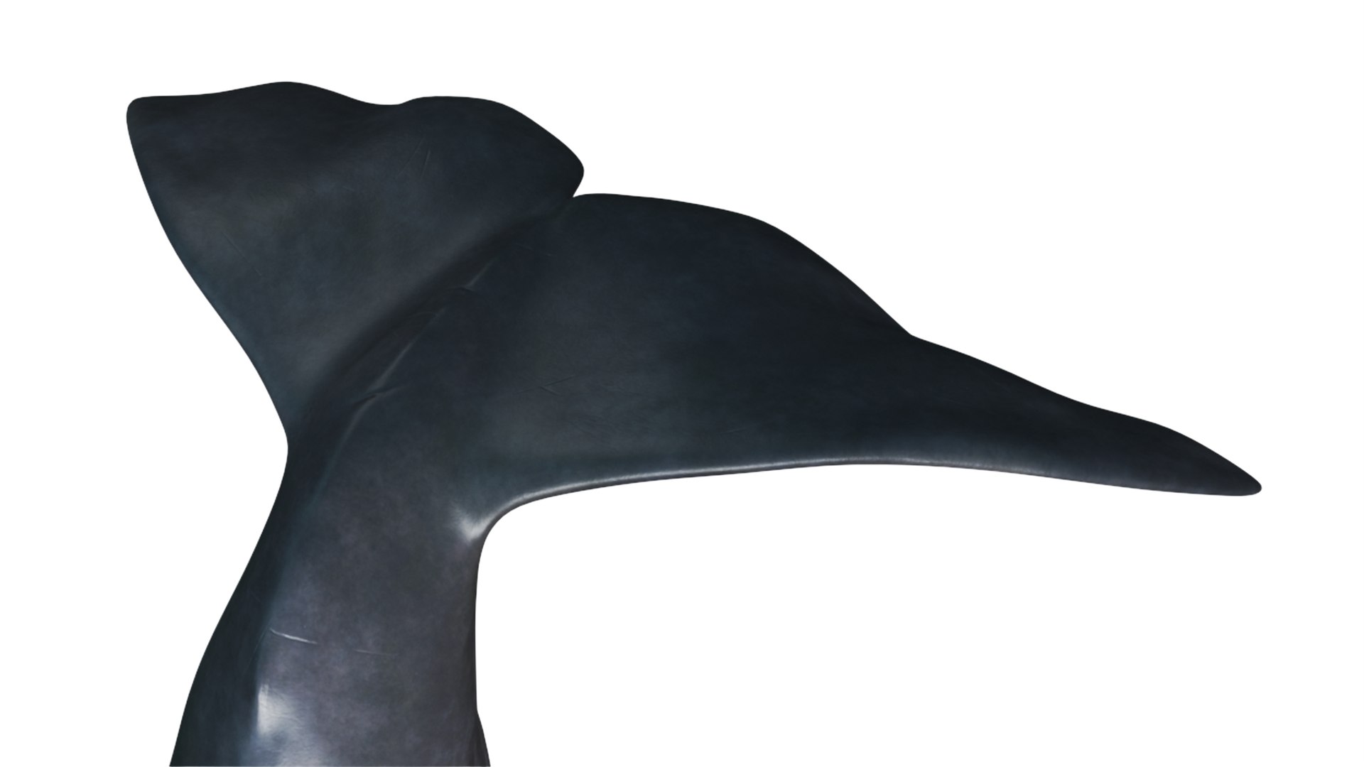 Cachalot Rigged 3D https://p.turbosquid.com/ts-thumb/ue/BjMvmN/eo/reproduction__cachalot_rigged_020/jpg/1703513448/1920x1080/fit_q87/0f34daff61c0c39c131306a64f8bd6916b2a5efc/reproduction__cachalot_rigged_020.jpg