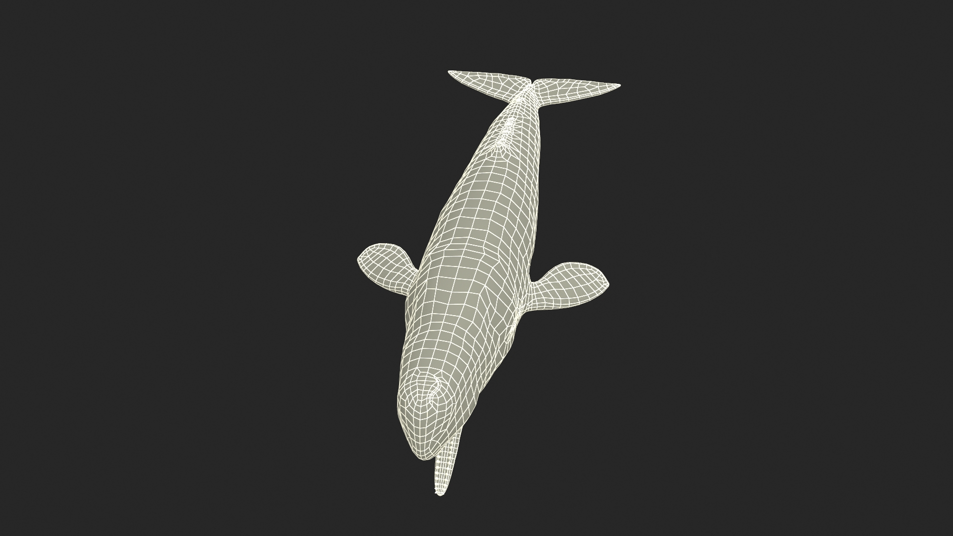 Cachalot Rigged 3D https://p.turbosquid.com/ts-thumb/ue/BjMvmN/tH/reproduction__cachalot_rigged_361/jpg/1703260733/1920x1080/turn_fit_q99/84ca9d81e050ae0296ca1f0ed6d0f04390d75b06/reproduction__cachalot_rigged_361-1.jpg