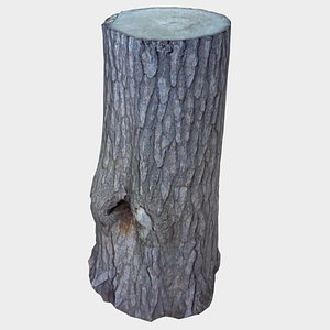 tree stump large knot model