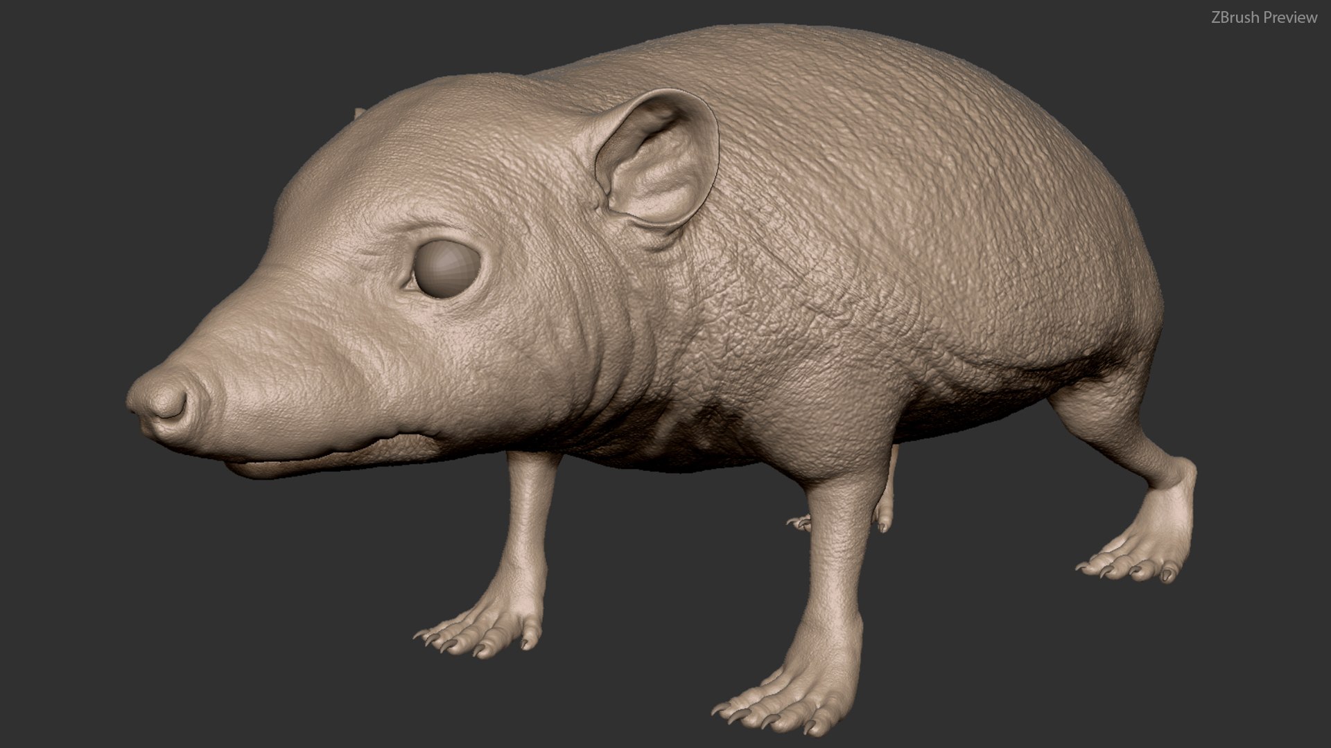 hedgehog zbrush sculpt 3D model https://p.turbosquid.com/ts-thumb/ue/IDZ2pm/5YjeBgjf/z02/jpg/1608028461/1920x1080/fit_q87/a3d3aee73b6b7c5242498d045a234c7d76b90426/z02.jpg