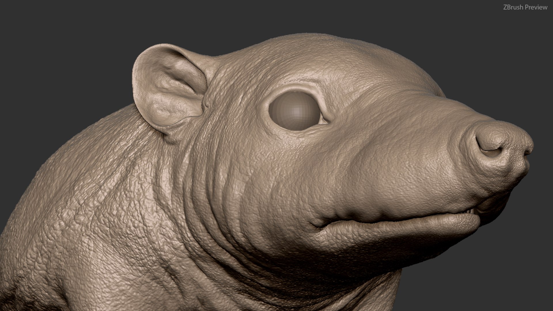 hedgehog zbrush sculpt 3D model https://p.turbosquid.com/ts-thumb/ue/IDZ2pm/7ew3p2SW/z03/jpg/1608028461/1920x1080/fit_q87/eb9eefc9f12cd0e9f3fedd55ce6ded7b32c9d81b/z03.jpg