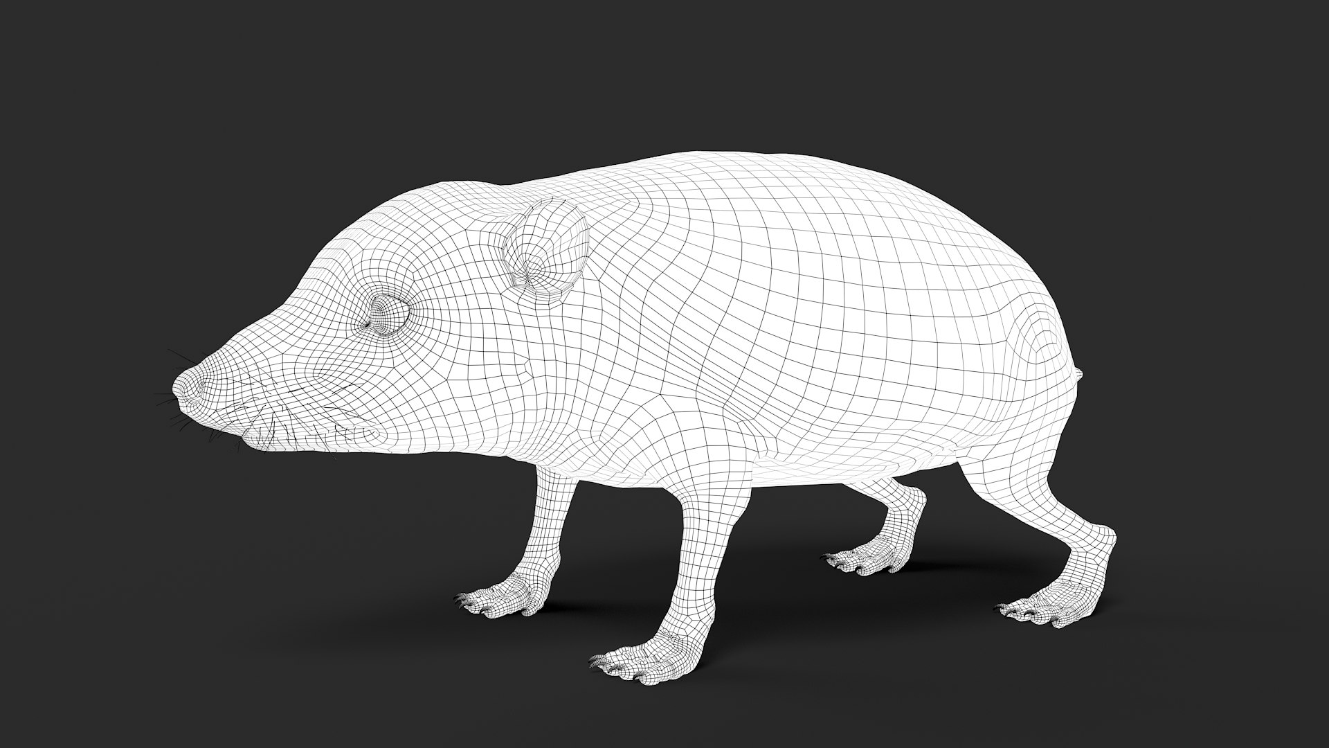 hedgehog zbrush sculpt 3D model https://p.turbosquid.com/ts-thumb/ue/IDZ2pm/CZWOYhAp/wire31/jpg/1608028525/1920x1080/fit_q87/d4581d77c6badb7f6a3af81968b743714dc484a9/wire31.jpg