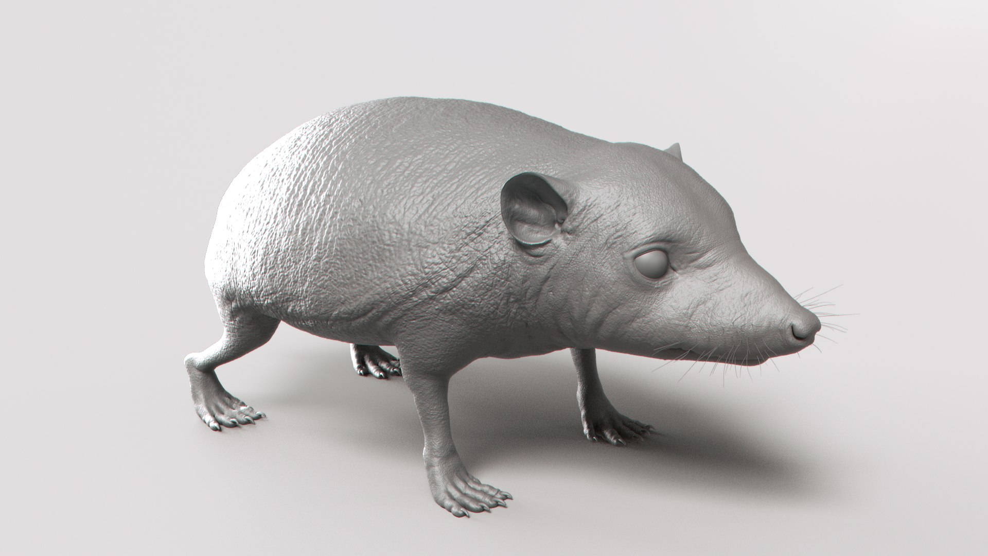 hedgehog zbrush sculpt 3D model https://p.turbosquid.com/ts-thumb/ue/IDZ2pm/Lpq2IXAs/shade35/jpg/1608028525/1920x1080/fit_q87/515e598eedf441cb40ee9c46058ecbbd6409f5cf/shade35.jpg