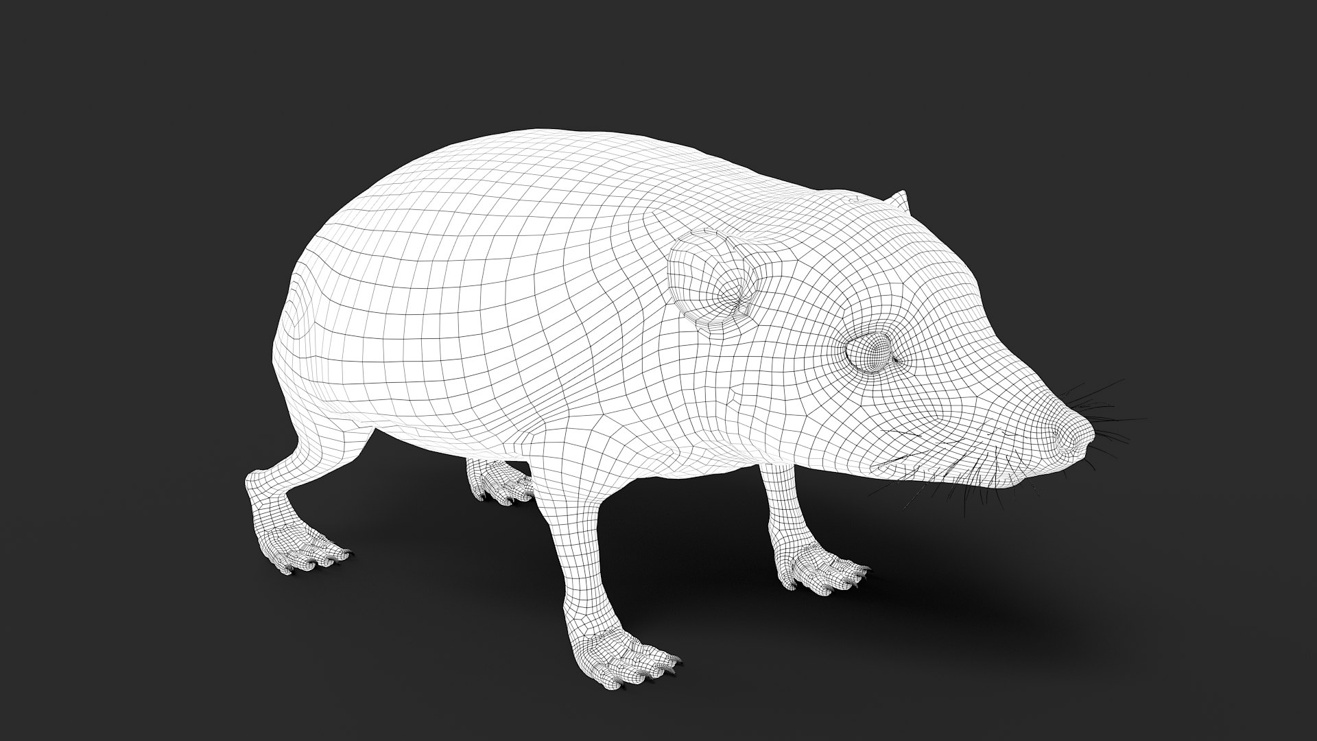 hedgehog zbrush sculpt 3D model https://p.turbosquid.com/ts-thumb/ue/IDZ2pm/TbM0KOIc/wire35/jpg/1608028525/1920x1080/fit_q87/a569fe2dc8ed1b1d5b7bf32446b0feb0fe07e1e9/wire35.jpg