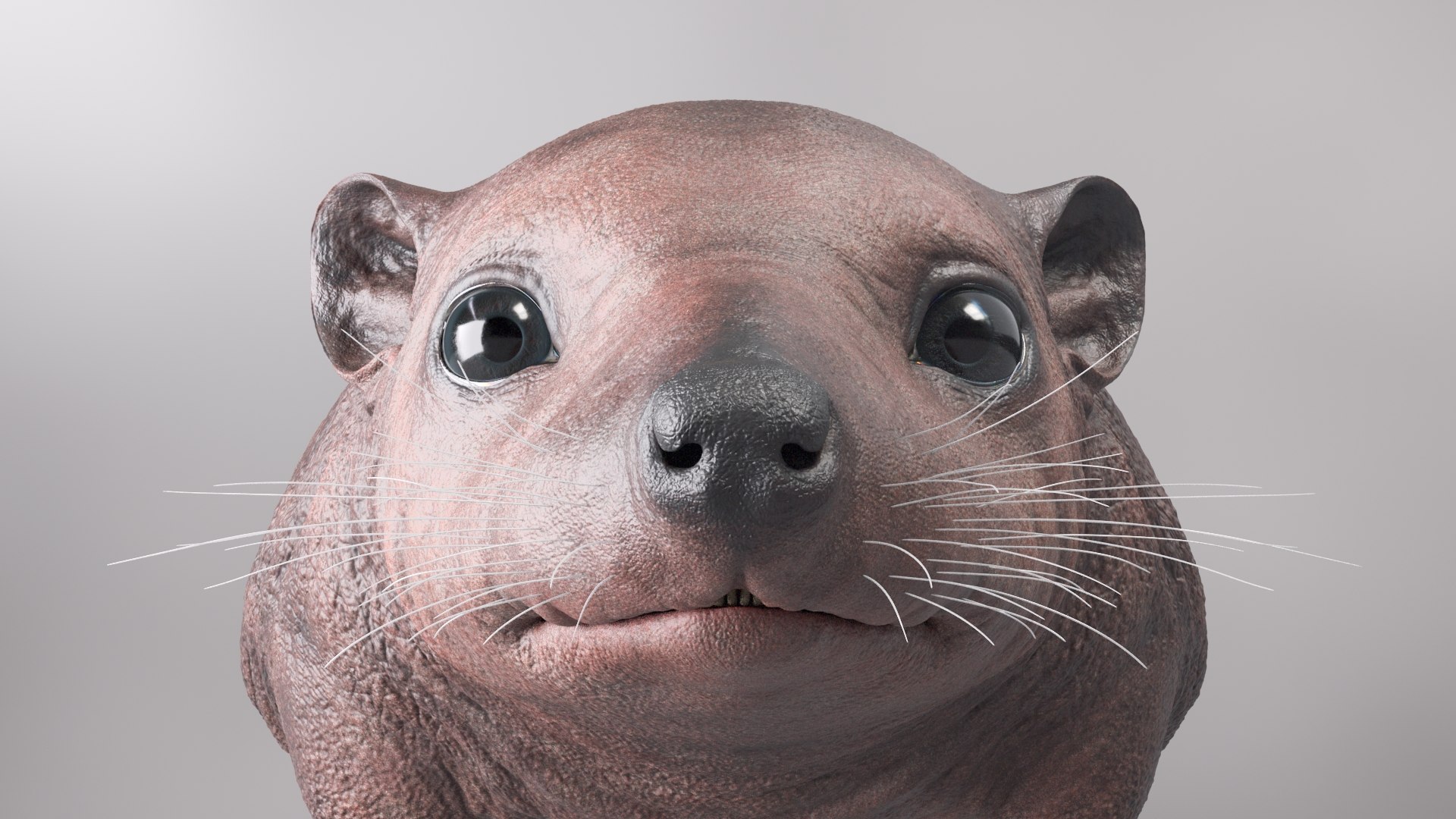 hedgehog zbrush sculpt 3D model https://p.turbosquid.com/ts-thumb/ue/IDZ2pm/U2qu158B/beauty37/jpg/1608028378/1920x1080/fit_q87/e5f7418c4aca5efff2bfa252400c89c400b2cf70/beauty37.jpg