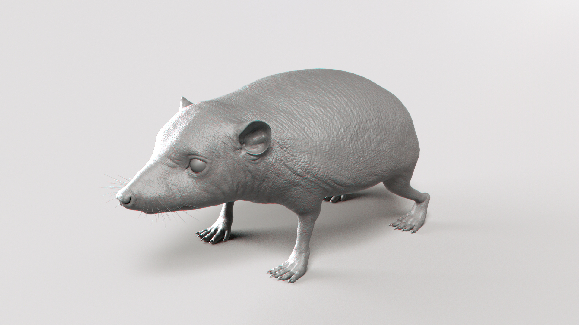 hedgehog zbrush sculpt 3D model https://p.turbosquid.com/ts-thumb/ue/IDZ2pm/i4v8qHDV/shade/jpg/1608028457/1920x1080/turn_fit_q99/3782b3e2c46f16f1f5d67dde1b3ab9df81753ab7/shade-1.jpg