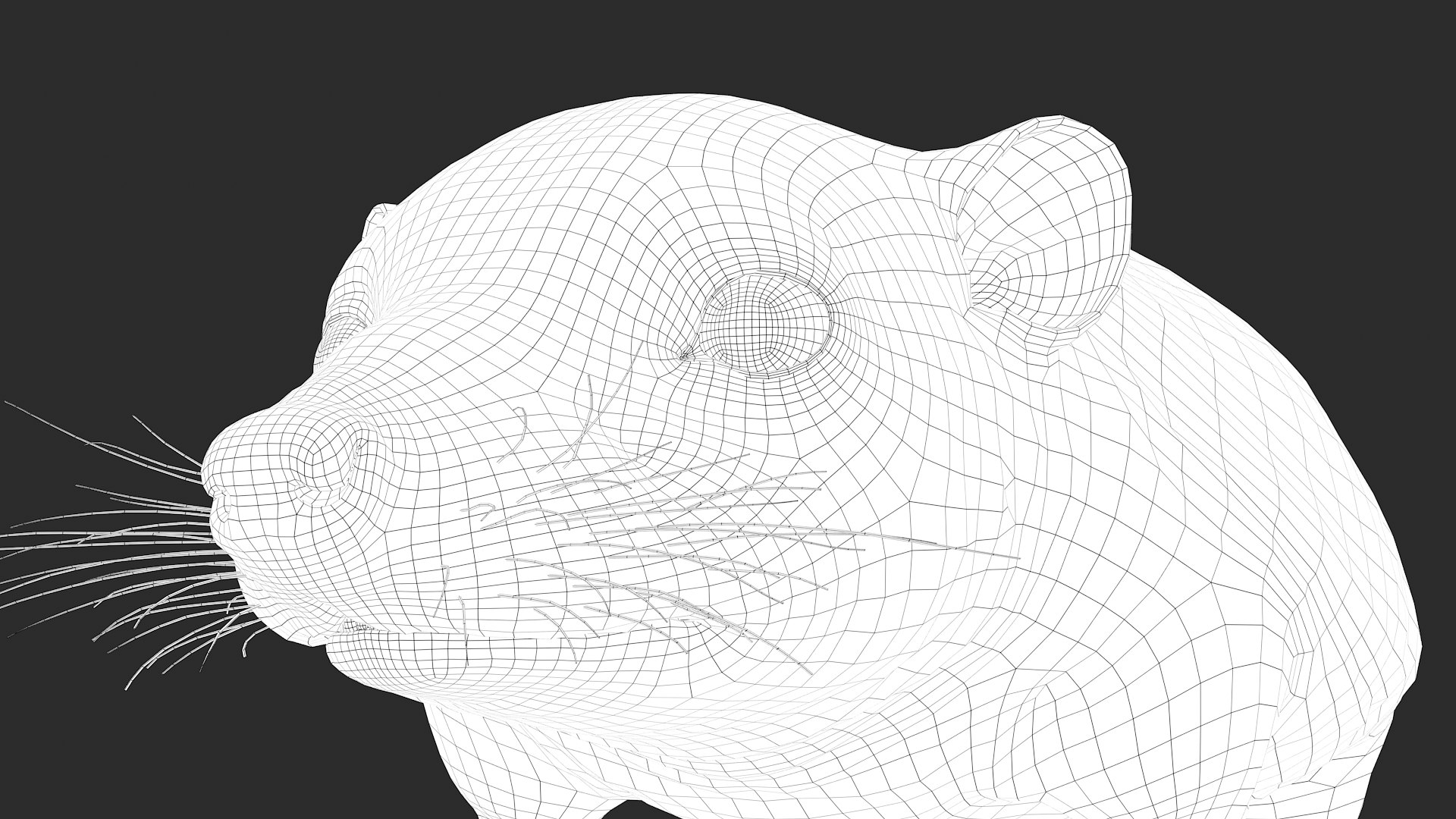 hedgehog zbrush sculpt 3D model https://p.turbosquid.com/ts-thumb/ue/IDZ2pm/nCpkiO9l/wire36/jpg/1608028525/1920x1080/fit_q87/de04938c0060dec2aabdbbdc89b2d8c68f640e35/wire36.jpg