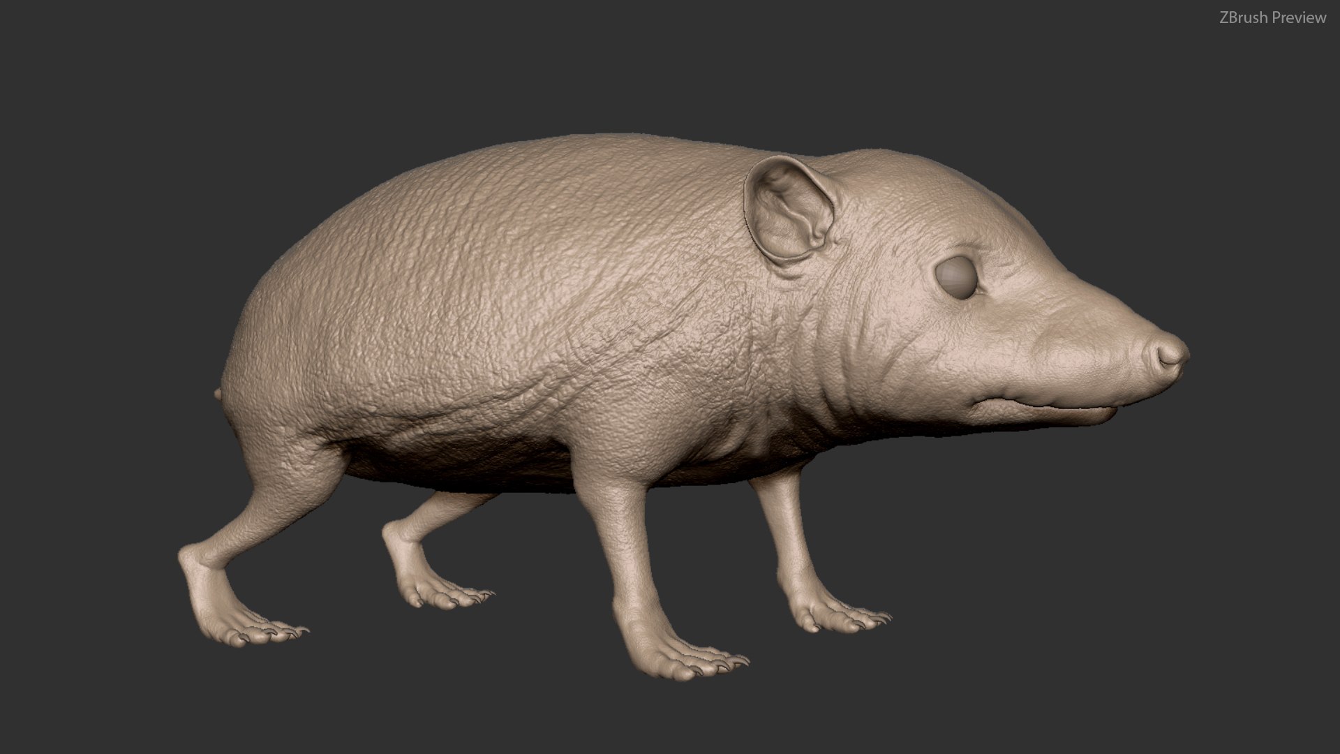 hedgehog zbrush sculpt 3D model https://p.turbosquid.com/ts-thumb/ue/IDZ2pm/x8LJyvHe/z01/jpg/1608028461/1920x1080/fit_q87/be503291a3ff13405314e4dc87616e86cbfb1fd0/z01.jpg
