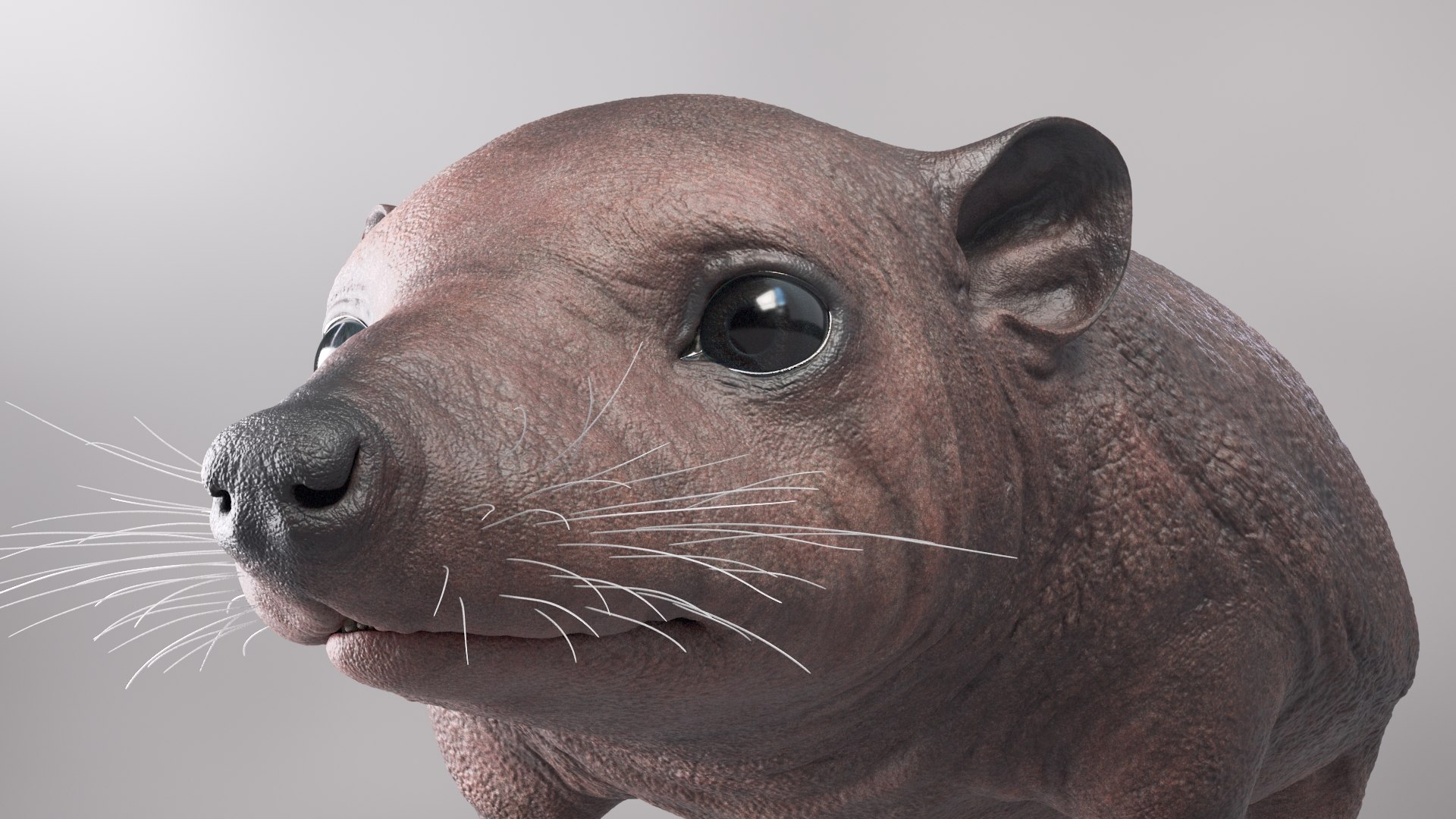 hedgehog zbrush sculpt 3D model https://p.turbosquid.com/ts-thumb/ue/IDZ2pm/y7c9siEQ/beauty36/jpg/1608028378/1920x1080/fit_q87/78dc414ea8f46abc141411e7d0e4b054780d727c/beauty36.jpg