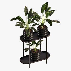 3D Previous Next Color palette  Banana Plant Set Ikea Olivblad 2 model