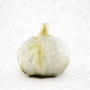 3d garlic