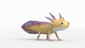 Axolotl model